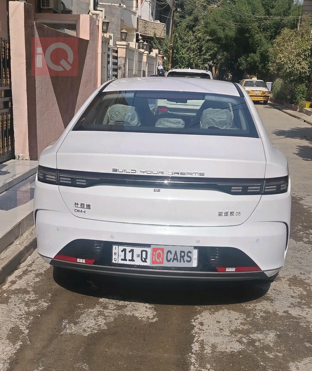 بي واي دي ديستروير 05